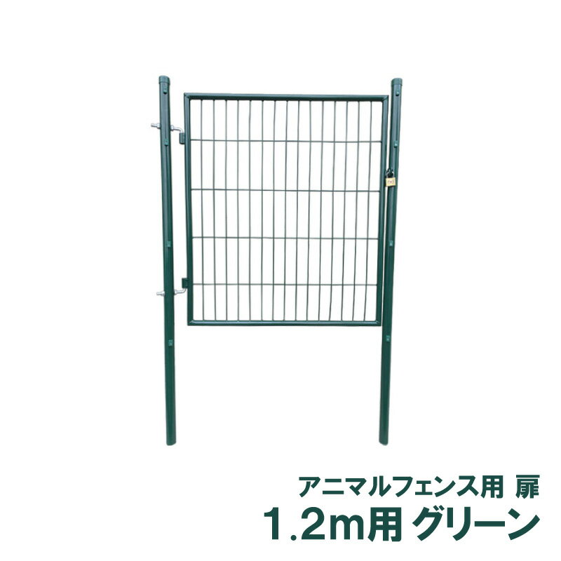 Τ  ˥ޥ륬ɥե 1.2m   ҳ AG-120 ꡼ ˥ޥե ǥ󥲡 󥻥 Ŀ...