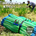 25枚 ネギマキネット Sタイプ 60cm×100cm ネギ 枝豆 花 収穫ネット ねぎ 葱 収穫 運搬 保管 ネギ巻き ねぎまき ねぎ巻き ネット シート 日本マタイ DZ