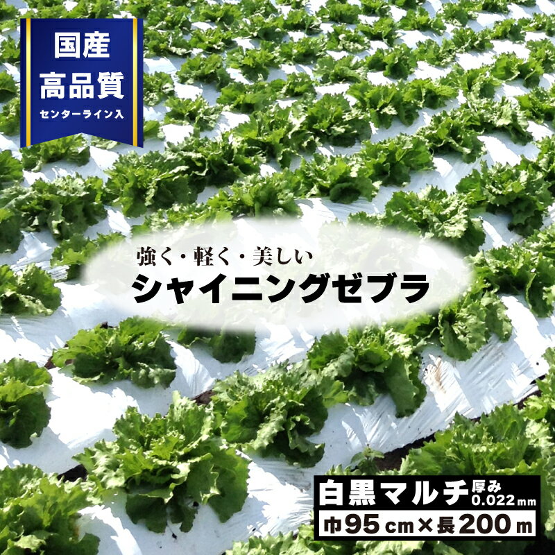 2本 白黒マルチ 幅95cm シャイニングゼブラ 国産 穴なし センターライン入 白黒マルチシート 畑 地温 温度 抑制 防草 雑草対策 プラスワイズ Z 個人宅配送不可