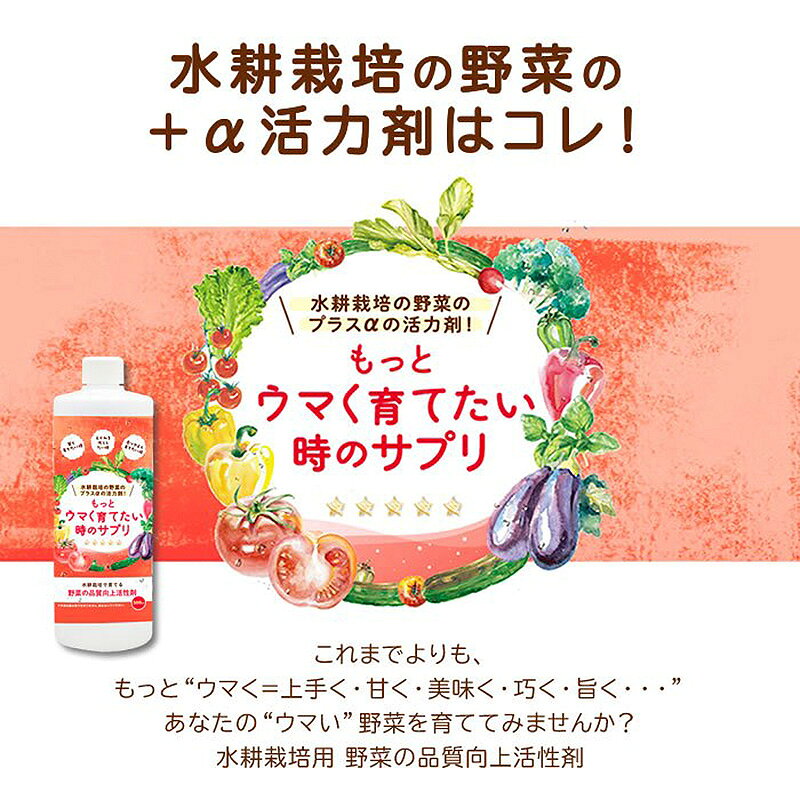 20本入 水耕栽培用 活性剤 もっとウマく育てたい時のサプリ 1ケース 500mL×20本 おうちのやさいシリーズ グリーングリーン 個人宅配送不可 代引不可 plusysbtob-10031624 プラスワイズ業者用専門店 サンプル画像3