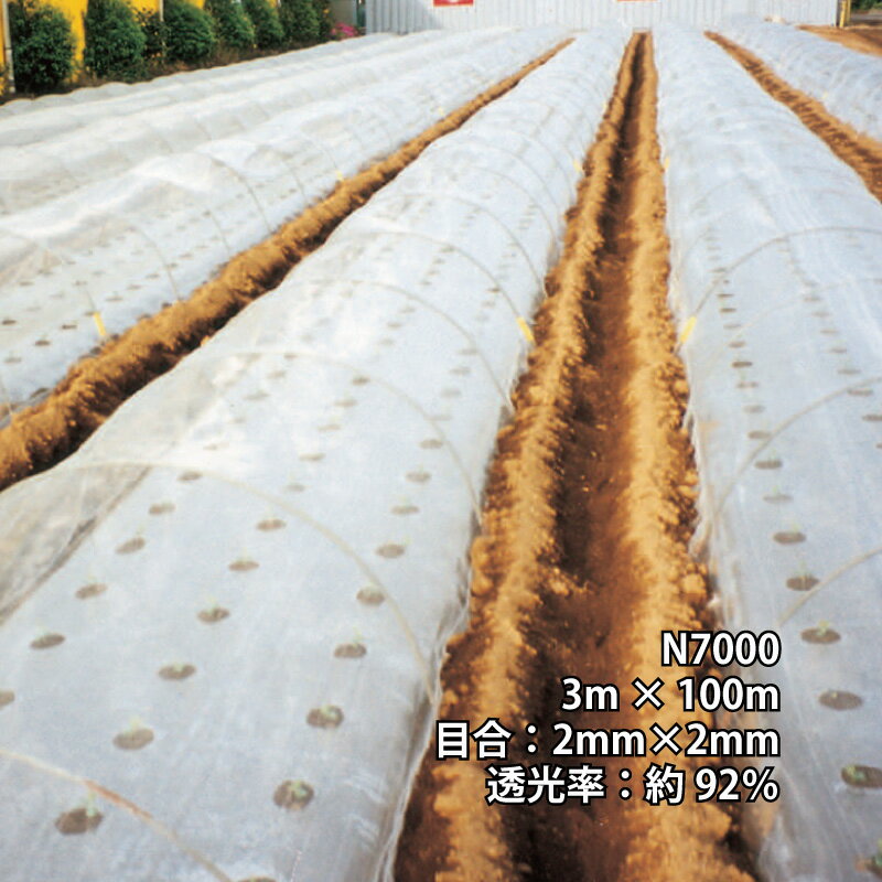 3m×100m ナチュラル 防虫サンサンネット N7000 ビニールハウス トンネル などに 防虫ネット 日本ワイド..