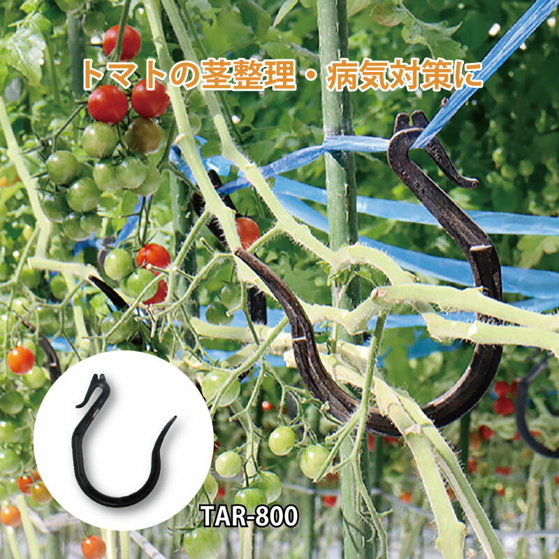 100個 カケタロー TAR-800 カケタロ～ 黒 トマト シーム タS 代引不可