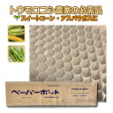 55冊 (個) ペーパーポット No.2-264 264鉢 生分解性 紙筒 播種 種まき 育苗 苗 スイートコーン アスパラガス 野菜 ニッテン タS 個人宅配...