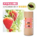 天敵製剤 テントップ 2~3齢幼虫 200頭 600ml ナミテントウ アブラムシ類駆除 ハウス ビニールハウス 施設栽培 農業 農作物 イチゴ アグリセクト ...