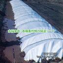 農業用 ミラマットL #127 1mm×2.7m×50m 高発泡PEシート JSP カ施 個人宅配送不可 代引不可