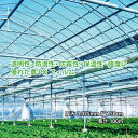 農PO 5種5層 厚み0.075mm 幅150cm 長さ100m 防滴 防霧 国産 個人宅配送不可 すこ タS 代引不可