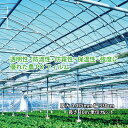 農PO 5種5層 厚み0.075mm 幅330cm 長さ10m単位カット 防滴 防霧 個人宅配送不可 すこ タS 代引不可