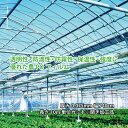 農PO 5種5層 厚み0.075mm 幅740cm 長さ10m単位カット※開き加工品 防滴 防霧 個人宅配送不可 すこ タS 代引不可