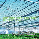 農PO 5種5層 厚み0.075mm 幅960cm 長さ10m単位カット※開き加工品 防滴 防霧 個人宅配送不可 すこ タS 代引不可