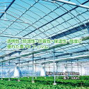 農PO 5種5層 厚み0.1mm 幅185cm 長さ100m 防滴 防霧 国産 個人宅配送不可 すこ タS 代引不可