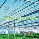 農PO 5種5層 厚み0.1mm 幅300cm 長さ10m単位カット 防滴 防霧 個人宅配送不可 すこ タS 代引不可