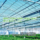 農PO 5種5層 厚み0.1mm 幅570cm 長さ10m単位カット※開き加工品 防滴 防霧 個人宅配送不可 すこ タS 代引不可