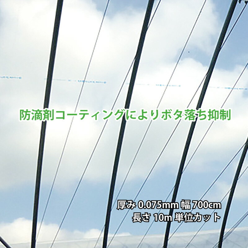 個人宅配送不可 農PO 5層 防滴剤 厚み0.075mm 幅700cm 長さ10m単位カット こふ タS 代引不可