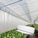 2本 サニーコート 内張りタイプ 115cm×100m 中空二層構造 保温被覆資材 ビニールハウス 保温シート 宇部エクシモ タS 個人宅配送不可 代引不可