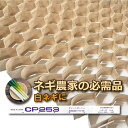 チェーンポット CP253 150冊 (個) 株間4.5cm 364鉢 播種 種まき 育苗 白ネギ 野菜 cp253 紙筒 ひっぱりくん ニッテン 日本甜菜製糖...