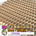 150冊 (個) チェーンポット CP304 CP-304 264鉢 株間5.0cm 3.8×3.8cm 播種 種まき 育苗 白ネギ 花き類 野菜 農業 紙筒 ...