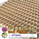 150冊 (個) チェーンポット CP305 CP-305 264鉢 株間5.0cm 3.0×5.0cm 播種 種まき 育苗 白ネギ 花き類 野菜 農業 紙筒 ...