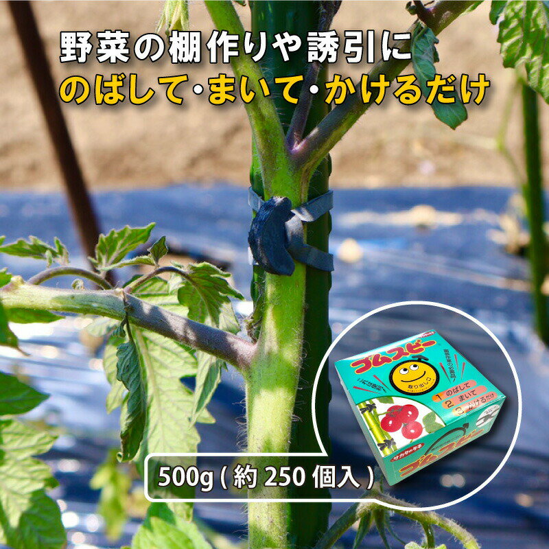 ゴムスビー 500g ( 約250本入 ) 園芸用万能輪ゴム 野菜 花 誘引 結束 棚作り 耐候性  ...