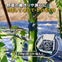 250g ( 約125本入 ) ゴムスビー 箱なし 園芸用 万能 輪ゴム 家庭菜園 棚作り トマト 野菜 花 誘引 結束 用品 資材 サカタのタネ DZ メール...