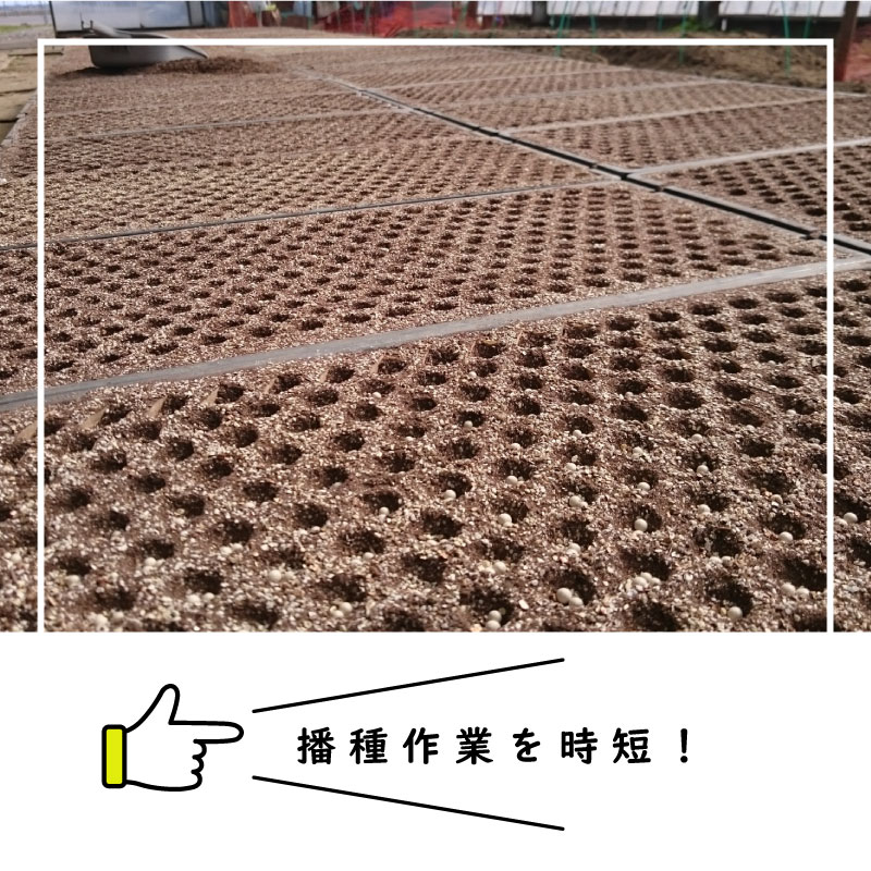 �ż�5�����å� CP300 1γH-�� ��������ݥå� CP303 CP304 CP305 LP303-10 LP303-15 BP303 �� �ż糧�å� ��ޤ� �˥åƥ� ��S �Ŀ��������Բ� ����Բ�