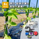 テープナー4点セット 楽らくテープナー HT-R45C 光分解テープ選択 ステープル604E-L 替刃セット 園芸用 誘引結束機 園芸 誘引 結束 農業用品 マ...