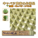 200冊 (個) ペーパーポット No.10 10号 72鉢 生分解性 紙筒 播種 種まき 育苗 苗 白菜 キャベツ トマト キュウリ ニッテン タS 個人宅配...