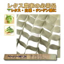 300冊 (個) ペーパーポット No.12 12号 144鉢 生分解性 紙筒 播種 種まき 育苗 苗 レタス 白菜 チンゲン菜 野菜 ニッテン タS 個人宅配...