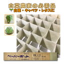300冊 (個) ペーパーポット No.14 14号 105鉢 生分解性 紙筒 播種 種まき 育苗 苗 白菜 キャベツ ハナヤサイ レタス ニッテン タS 個人...