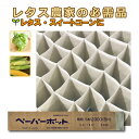 180冊 (個) ペーパーポット SM2300 (5H) 300鉢 生分解性 紙筒 播種 種まき 育苗 苗 レタス スイートコーン 花き類 ニッテン タS 個人...
