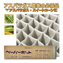 120冊 (個) ペーパーポット SM2300 (7.5H) 300鉢 生分解性 紙筒 播種 種まき 育苗 苗 アスパラガス スイートコーン ニッテン 個人宅配...