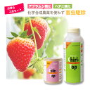 お得な2点セット 天敵製剤 コレトップ 250頭 100ml & チリトップ 2000頭 500ml 害虫駆除 ハウス ビニールハウス 施設栽培 農業 アグリセ...
