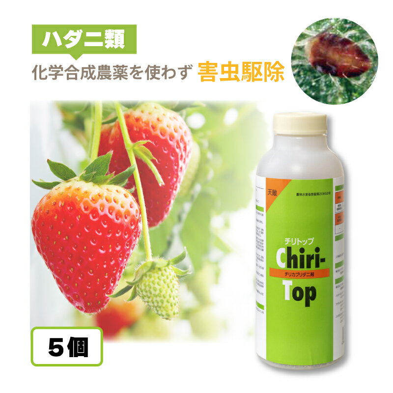 5個 天敵製剤 チリトップ 2000頭 500ml チリカブリダニ ハダニ類駆除 ハウス ビニールハウス 施設栽培 イチゴ 野菜 農業 農作物 アグリセクト タS 代引不可