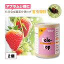 2個 天敵製剤 コレトップ 250頭 100ml コレマンアブラバチ アブラムシ類駆除 ハウス ビニールハウス 施設栽培 野菜 農業 農作物 アグリセクト タS...