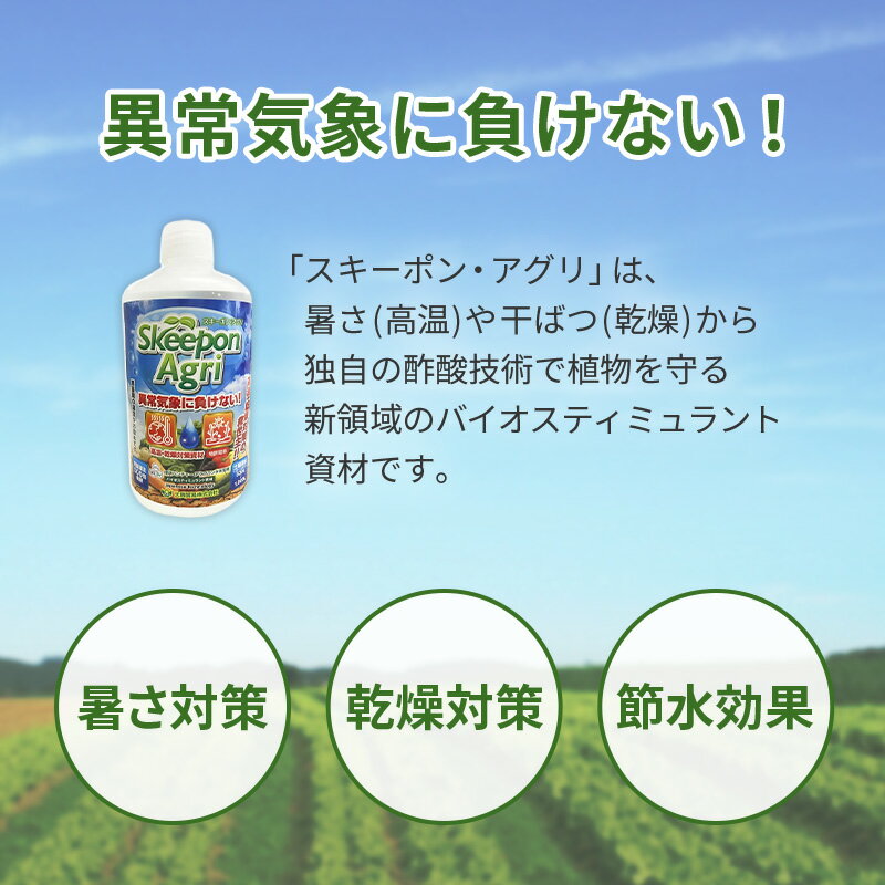 4�� �������ݥ󡦥����� Skeepon Agri 5L �Х������ƥ��ߥ���Ȼ�� �ݻ� ���� ���� ��� �ⲹ ���� �ڸ� �������ݥ󥢥��� �綽�ǰ� �Ŀ��������Բ� ����Բ�