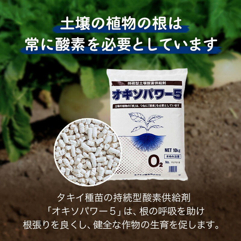 100�� �������ѥ5 ���Ƕ���� 10kg �� ȯ��¥�� ��ĥ�� ���� �ۼ�Ψ ���� ������ Ĺ���� ���Ƕ��� ���� �뱫 �к� ���������� �Ŀ��������Բ� ����Բ�