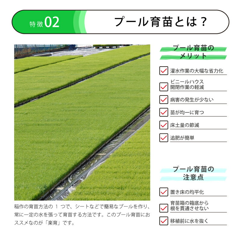 60本 プール育苗 用 枠板 楽育 ライク 長さ1000×高さ90×幅16mm 水稲 苗 稲作 ハウス 育苗 栽培 農業 農業資材 サンポリ 北海道不可 個人宅配送不可 代引不可 3