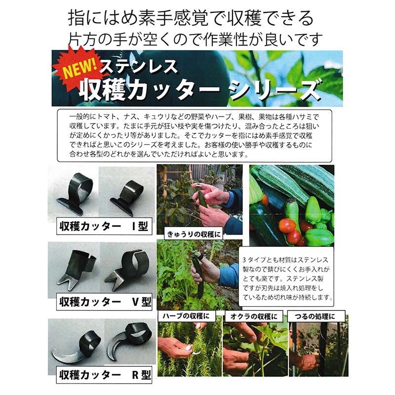 ���ƥ�쥹 ���ϥ��å��� V�� 09445 �ؤˤϤ���Ǽ괶�ФǼ��� ����� �Ϥ��� ���å��� �ʥ��� �Ҽ�Ǽ��� �����ڹ��� HZ �᡼���� �ͥ��ݥ�