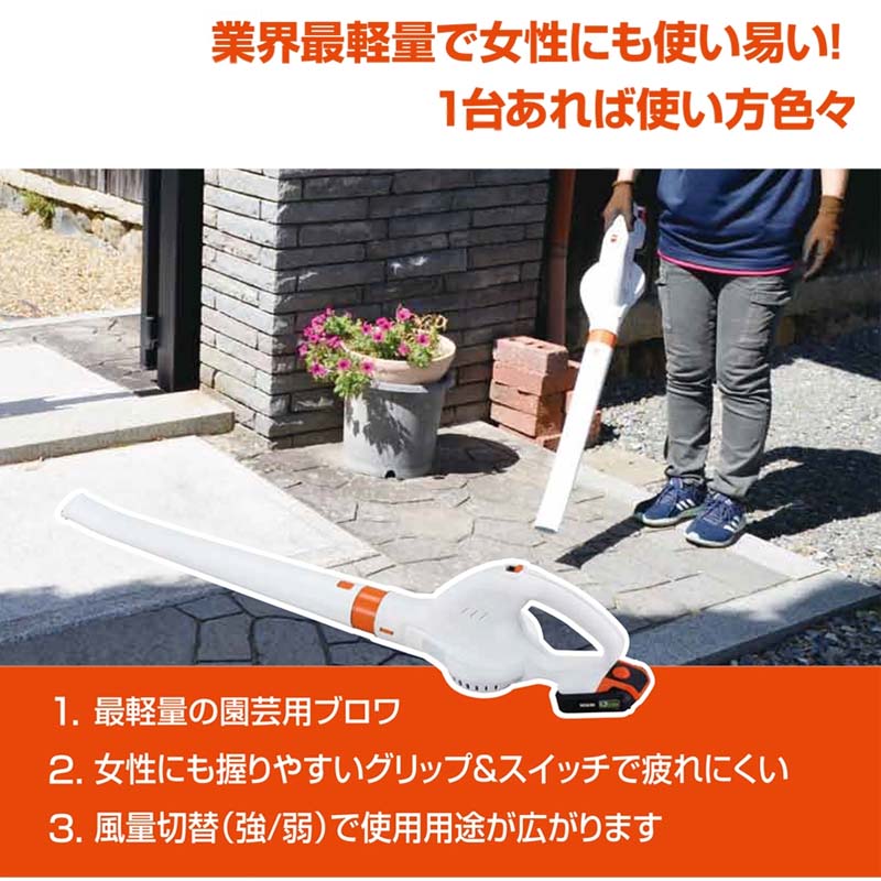 ���ż��֥��� SBL-1820 ���� 2���������� ���̥Хåƥ꡼ ��������� ���ݽ� ���� KOSHIN ��B ����Բ�