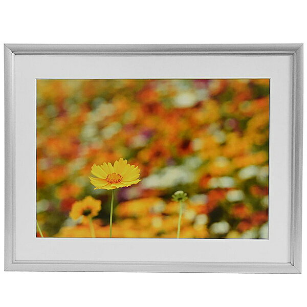 浅沼商会 306631 FUJICOLOR アルミ額縁 A32 ワイド6切 シルバー