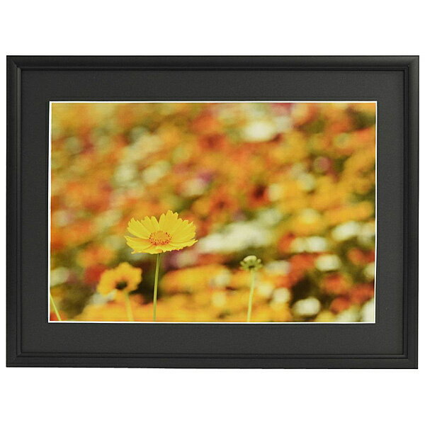 浅沼商会 306761 FUJICOLOR アルミ額縁 A33 半切 ブラック