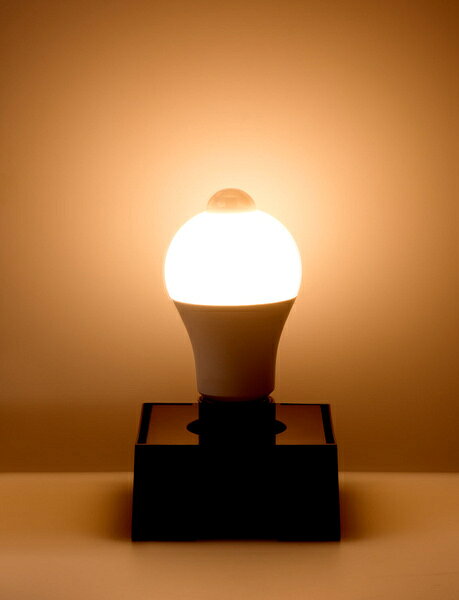 PLUSYU楽天堂のELPA LDA8L-G-G5110PIR センサー付きLED電球 60W 電球色相当｜アングル3