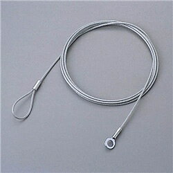 ELECOM ESL-W2022 ワイヤー 2.2mm×2m