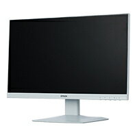 EPSON MC2Y003873 LD22W94L （21.5型ワイド/ 1920×1080/ ミニD-sub 15ピン×1、HDMI 19ピン×1、DisplayPort 20ピン×1/ ホワイト/ スピーカーあり/ 狭額縁でスッキリしたデザイン）