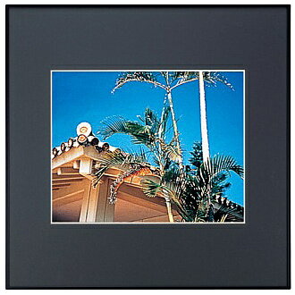 浅沼商会 303142 FUJICOLOR アルミ額縁 スクエアーマットフレーム HQA202 ブラック 半切