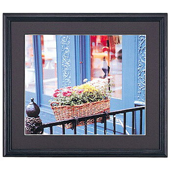 浅沼商会 405143 FUJICOLOR 木製額縁 YM-3 6切 ブラック