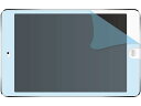 光興業 ZE-IPAD102-40 抗菌フィルム 反射低減 iPad10.2インチ専用 ノングレア 全面吸着式 40枚セット(2)