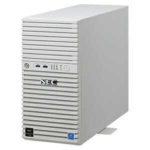 NEC NP8100-2902YQ4Y Express5800/ D/ T110k Xeon E-2314 4C/ 8GB*2/ SATA 2TB*2 RAID1/ W2022/ タワー 3年保証