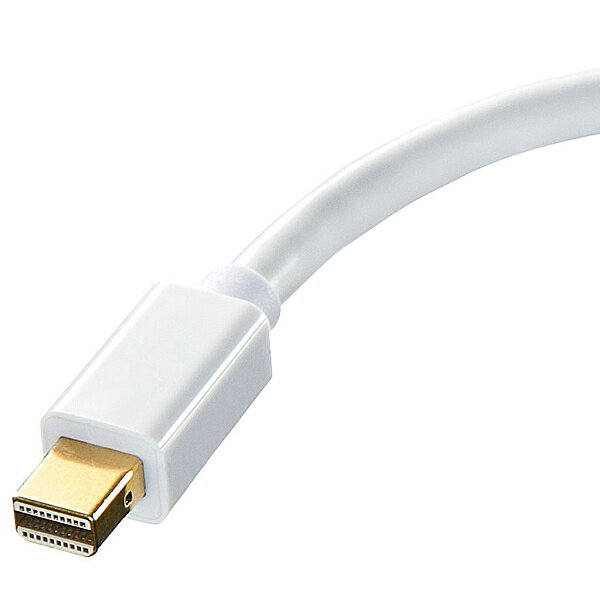 サンワサプライ AD-MDPDVA01 ミニDisplayPort-DVI変換アダプタ