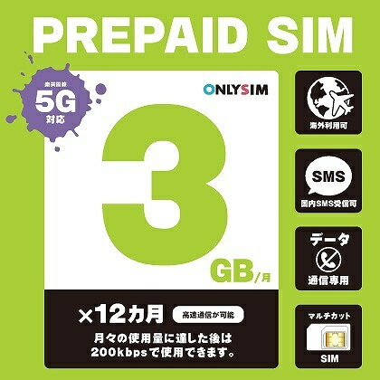 モバイル・プランニング 202306010312 楽天プリペイドSIM 毎月3GB 初月＋12ヶ月 SMS受信可