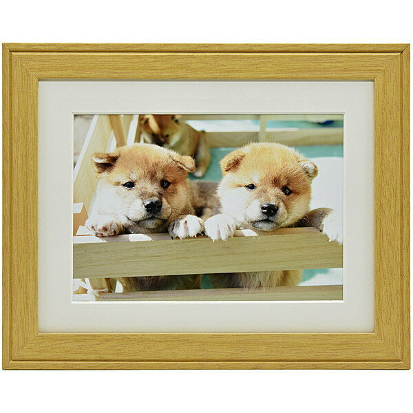 浅沼商会 407659 FUJICOLOR 木製額縁 YM-9 A3ノビ 木地